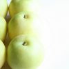 京都府で梨狩り‼梨の食べ放題や収穫体験ができる観光農園4選