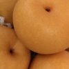 岡山県で梨狩り‼梨の食べ放題や収穫体験ができる観光農園4選