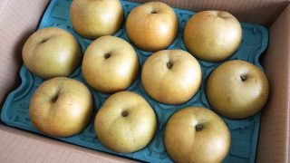 和歌山県で梨狩り‼梨の食べ放題や収穫体験ができる観光農園3選