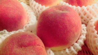 滋賀県で桃狩り‼桃の食べ放題が楽しめる観光果樹園1選