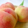 山梨県で桃狩り‼桃の食べ放題が楽しめる観光果樹園28選