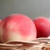 静岡県で桃狩り‼桃の収穫体験が楽しめる果樹園1選