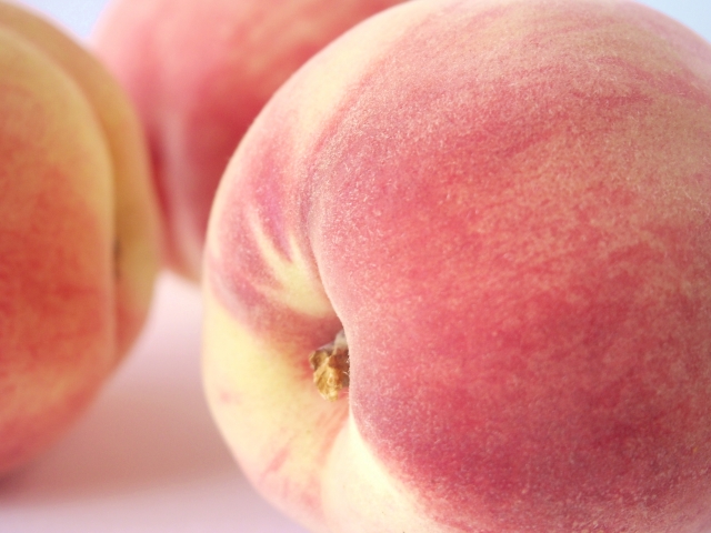 青森県で桃狩り 桃の食べ放題が楽しめる観光果樹園6選