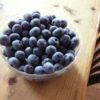 秋田県でブルーベリー狩り‼ブルーベリーの収穫体験や食べ放題が楽しめる果樹園9選