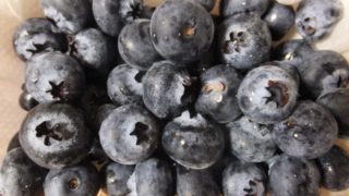宮城県ブルーベリー狩り‼ブルーベリーの食べ放題や収穫体験が楽しめる果樹園10選